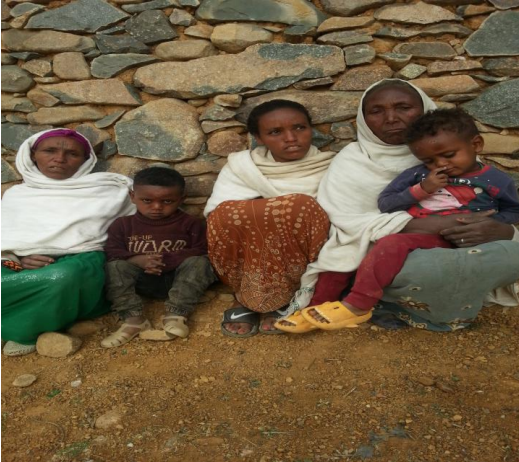 Alem Berihu Atsbeha - Lawyer (ኣለም በሪሁ ኣፅበሃ - ጠበቃ)