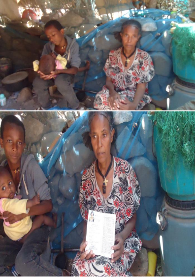 Mrs. Mulu Embaye - Mother-in-law of Marty  (ሙሉ እንባየ - ሓማት ሰማእት)
